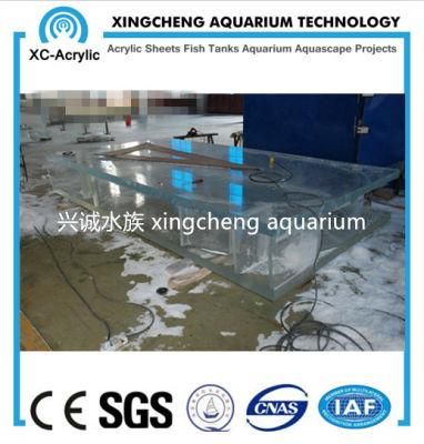 Customized Clear Acrylic Aquarium Fish Tank