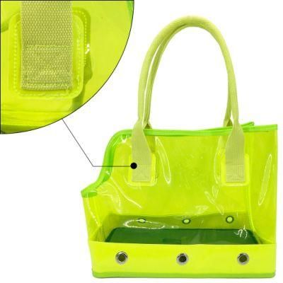 PVC Fluorescence Transparent Outdoor Dog Cat Pet Supply