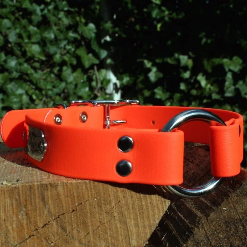 Waterproof Orange Hunting Dog Collar Resistant to Dirt