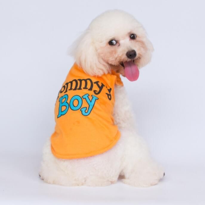 Small MOQ Fast Delivery Sunmer Dog Vest