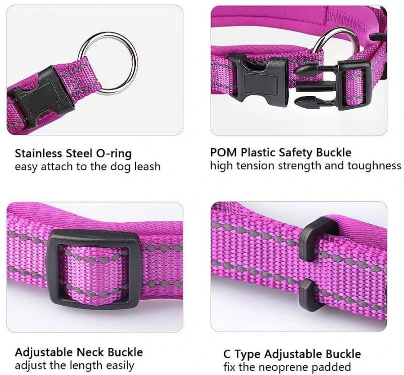 Lightweight Outdoor Training Dog Collars