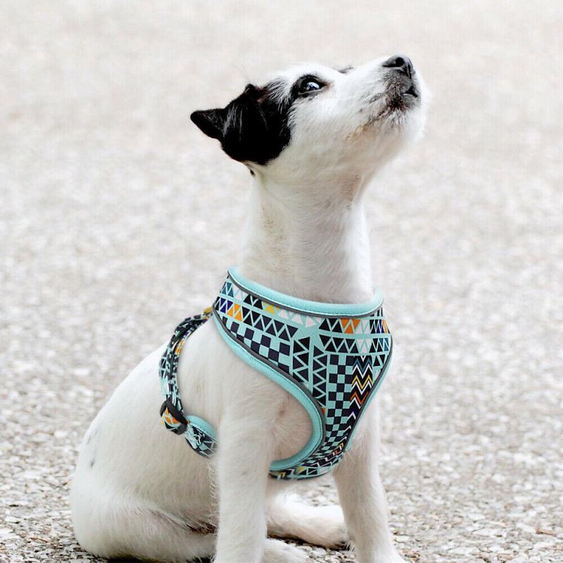 Free Design Custom Dog Harness Adjustable Harness Dog Personalized Breathable Dog Harness Pet