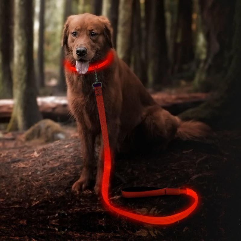 Glowing & Safe LED Dog Leash