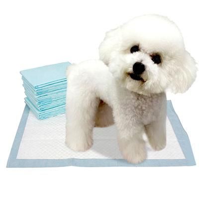 Top Selling Free Samples Pet Accessories Disposable Training PEE Pads for Dog
