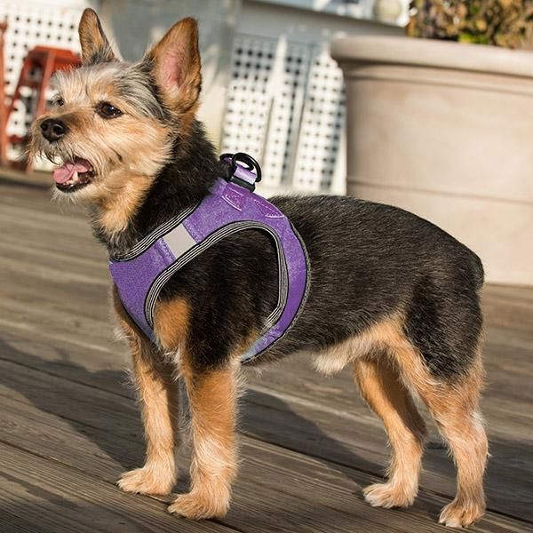Hot Sale High Quality Light Soft Step in Air Mesh Liberty Puppy Dog Harness