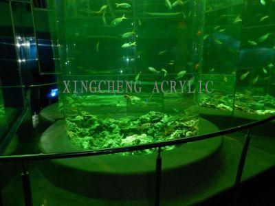 Cylindrical Acrylic Aquarium