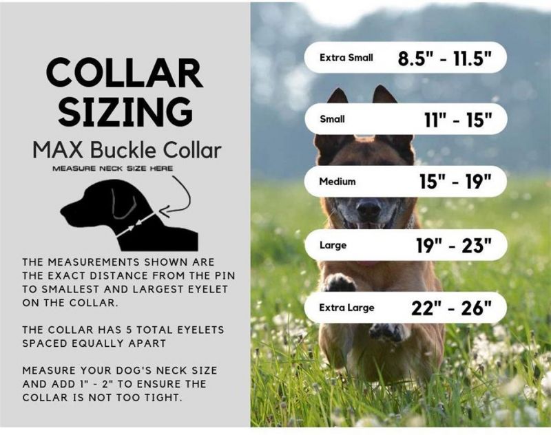 Reflective Metal Buckle Dog Collar Double Layers Martingale Collar