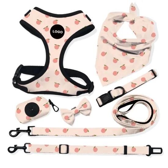 Whole Set Factory Price Lightweight Fashion Pet Training Supplies