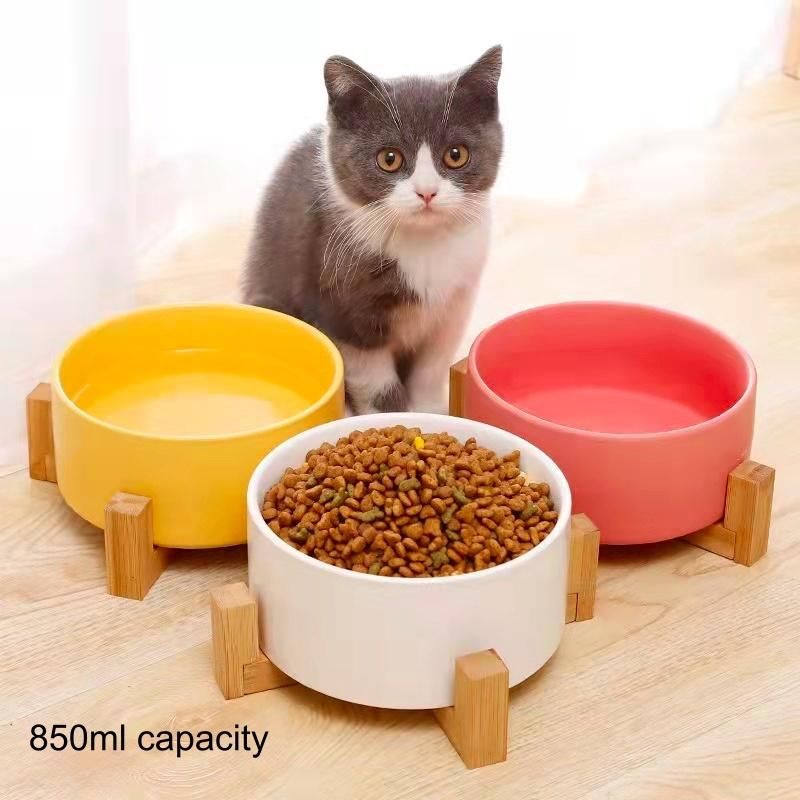 Customize OEM ODM Cat Dog Food Bowl Container Ceramic Feeder
