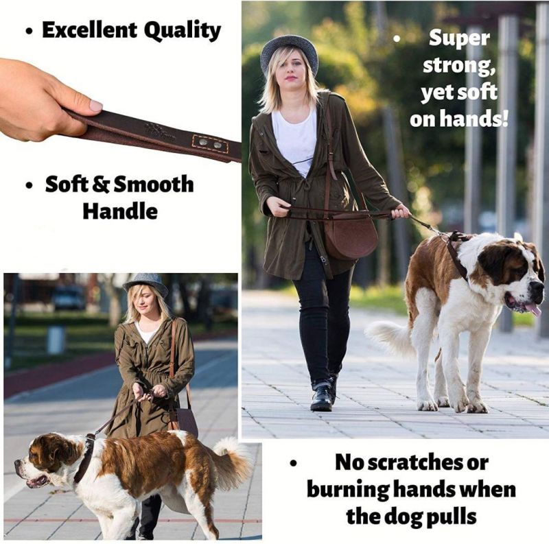 Strong and Soft Leather Leash for Large Dogs