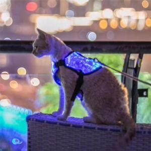 Factory Direct Sales Pet Supplies Fashion LED Dog Clothes USB Charging Luminous Vest Dog Clothes