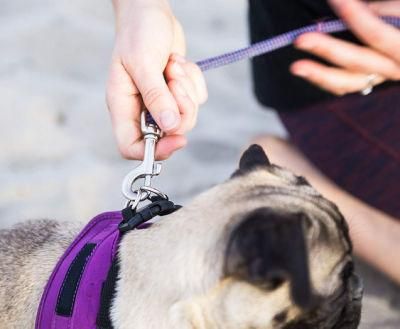 Easy to Put on and Take off Soft Dog Harnesses with a Quick Release Clip