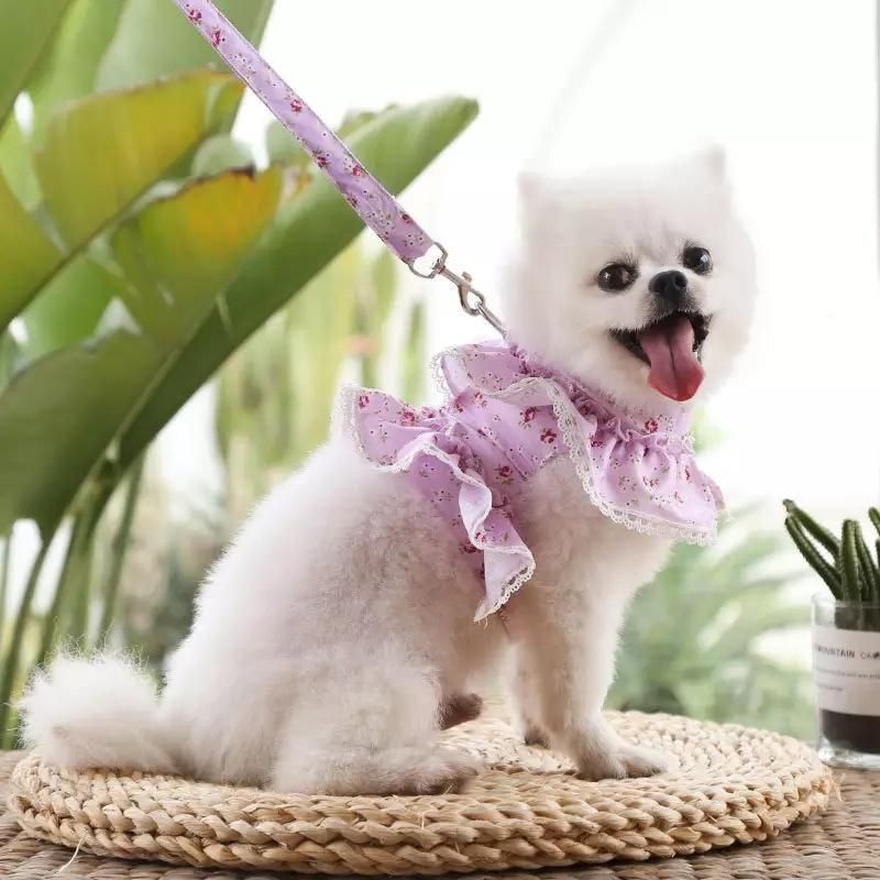 Lovely Small Flower Adjustable Portable Pet Harness and Leash Set