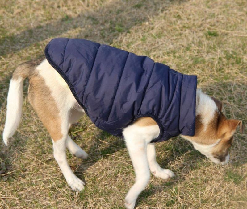 2 Layers Fleece Lined Warm Dog Jacket for Puppy