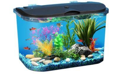 Hot Sale Aquarium Fish Tank