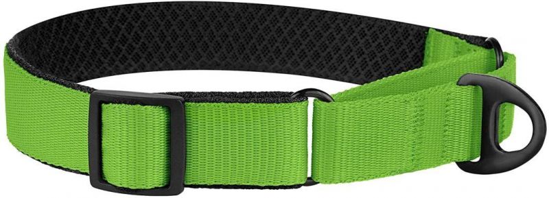 Durable Multiple Colors Dog Collar with Padded Neoprene