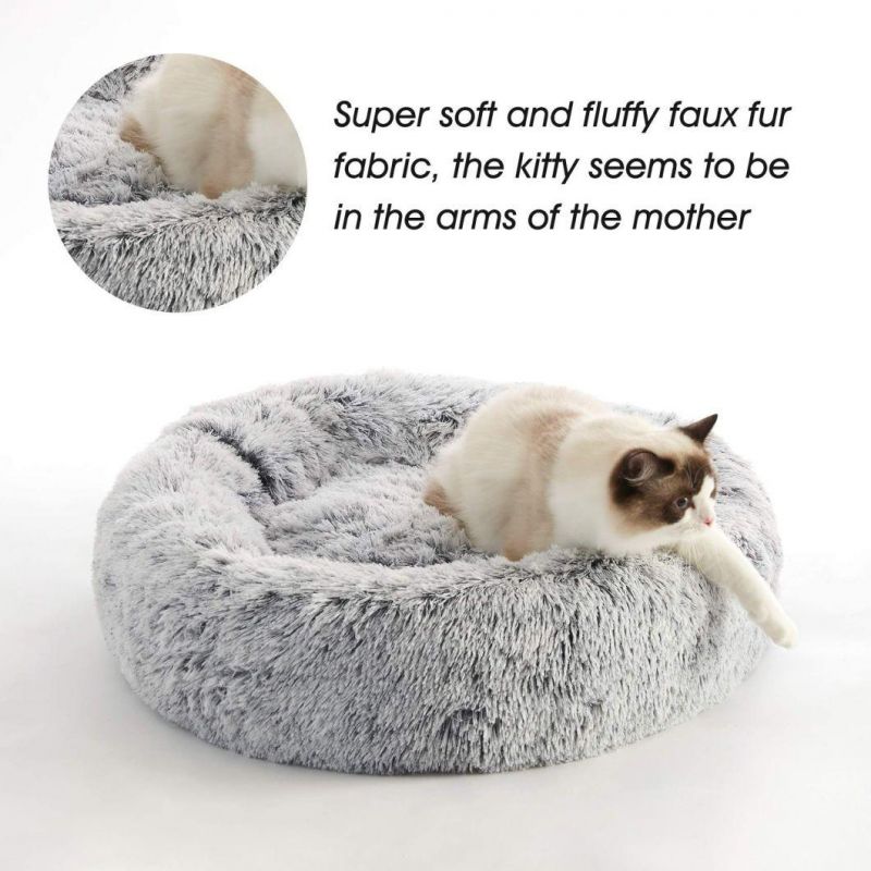 Wholesale Colorful Unique Comfortable High Quality Low Price More Resilience Pet Dog Bed and Cat Bed