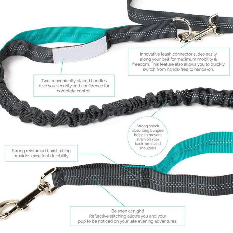 Strong Durable Shock-Absorbing Bungee Leash for Dogs Medium to Large