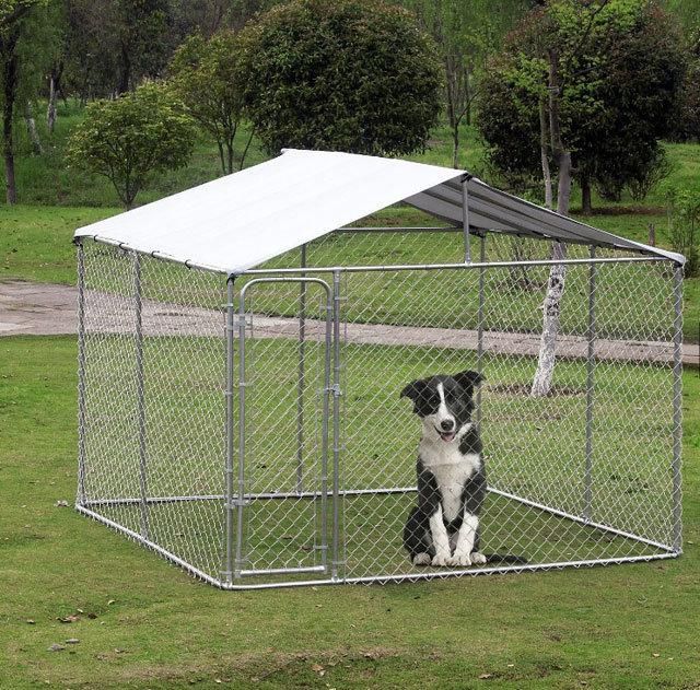 Chain Link Outdoor Dog Cage Run Kennel House Pen