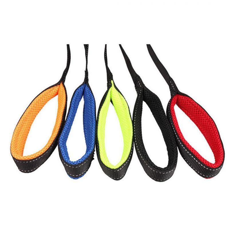 Shining Colorful Pet Harness with Pet Leash Set