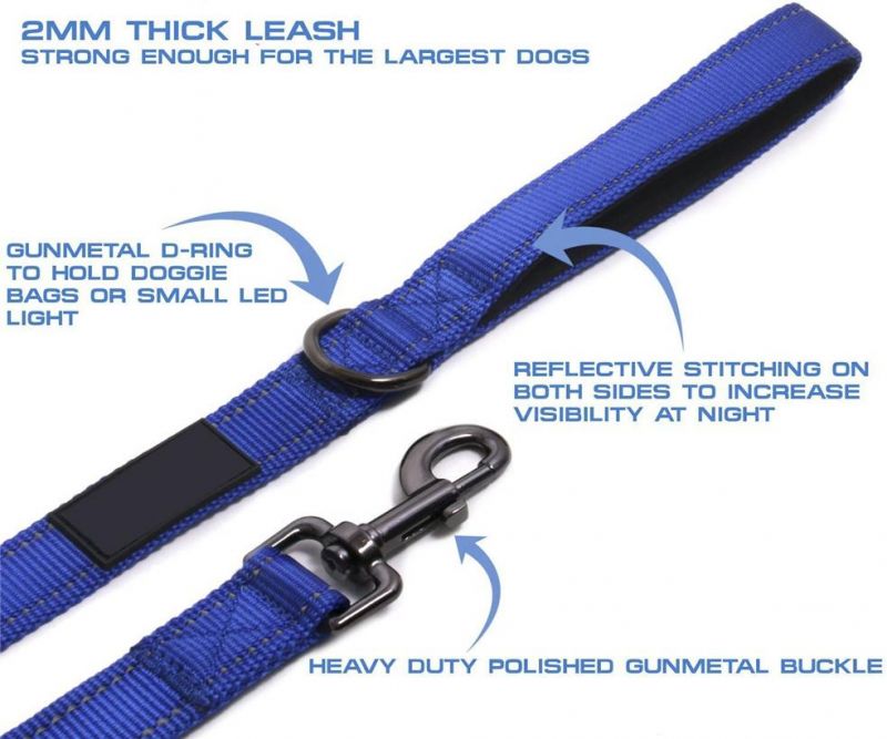 Wide Nylon Reflective Durable Pet Leash Padded Dog Lead