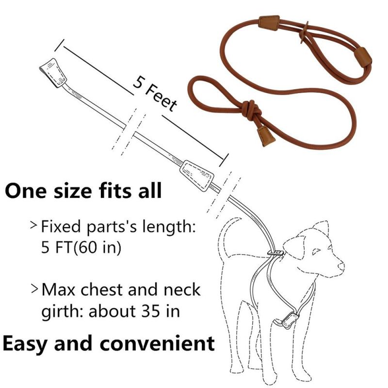 Dog Leash Slip Rope Lead Leash Strong Heavy Duty Rope No Pull Training Lead Leashes for Medium Large and Small Dogs