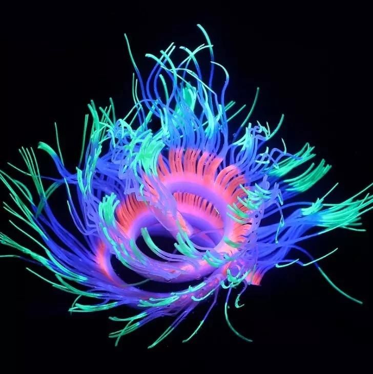 Silicone Simulation Variable Sea Anemone Fish Tank Ornament