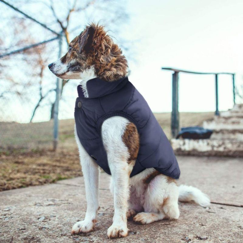 Windproof Dog Winter Coat Waterproof Dog Jacket