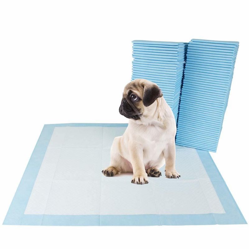 Disposable Nonwoven Blue Potty Pads Pet Accessory Underpad