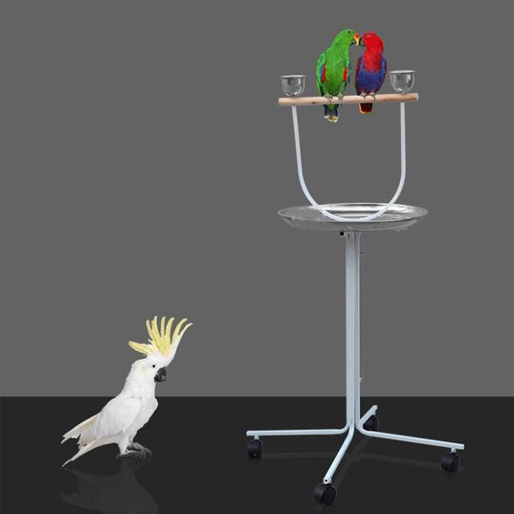 2022 Wholesale Pet Products Stainless Steel Small Parrot Bird Perches Parrot Play Stand