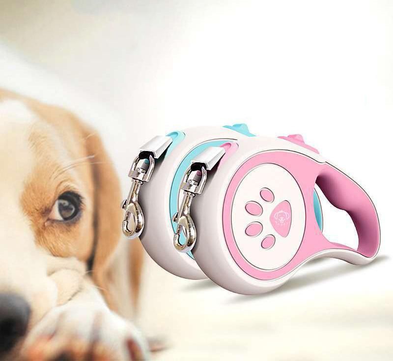 Custom Company Logo Fashion Retractable Dog Leash in Stock