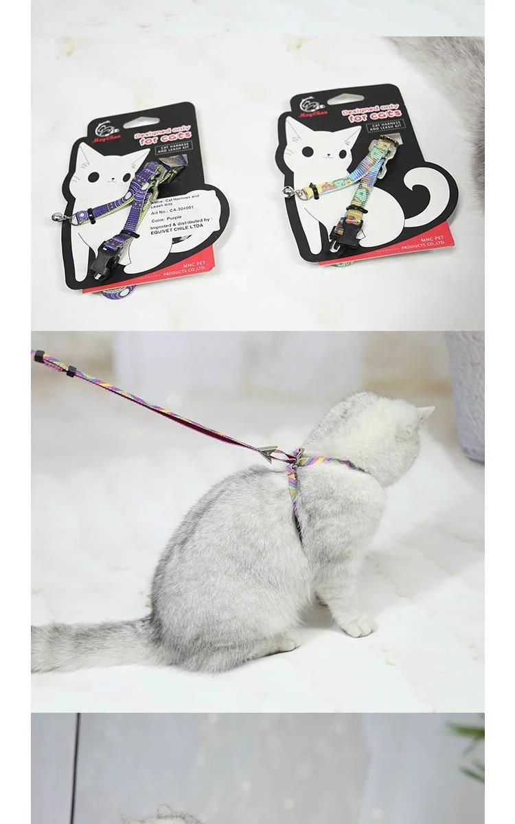 New Hot Items Nylon Webbing with Digital Printing Digital Printing Pet Collars and Leash Set