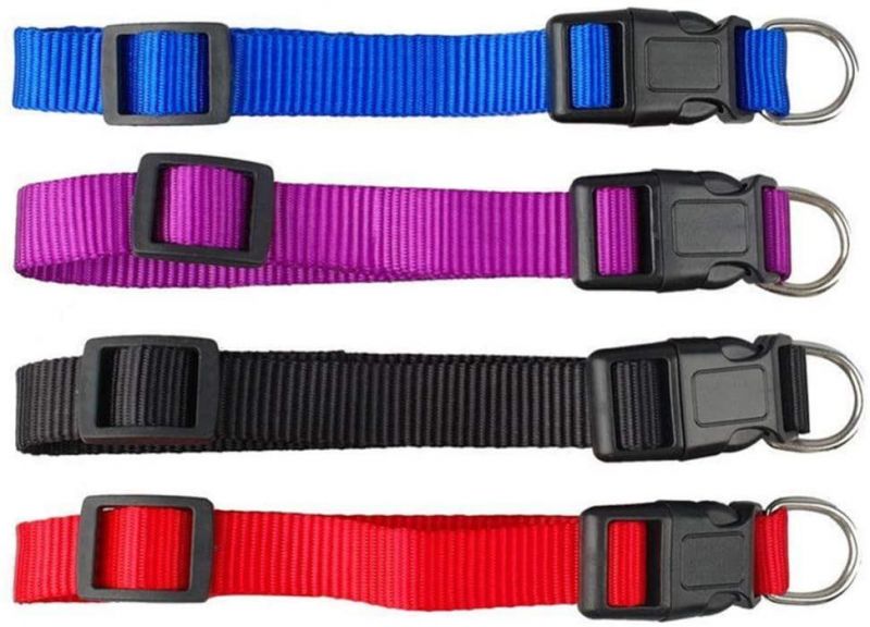 Solid Colors for Small Sized Dogs Neck Multicolor Dog Collar