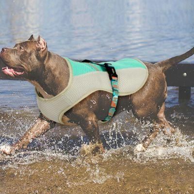 Pet Cool Clothes Summer Dog Summer Vest