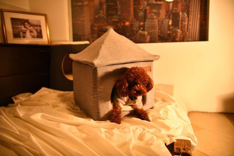Two Ways Use Detachable Cat Dog Puppy Pet Bed House