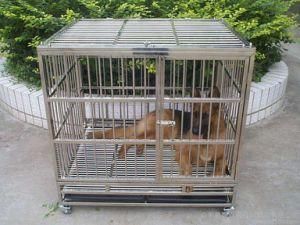 Wholesale Chain Link Pets Safe Kennel Run Enclosure Cage Apply To Dog