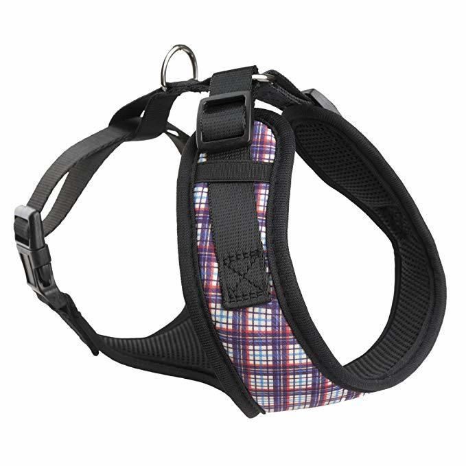 Super Waterproof Popular PVC Pet Dog Harness Collar and Leash