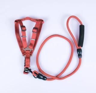 OEM Design Chain Dog Leashes