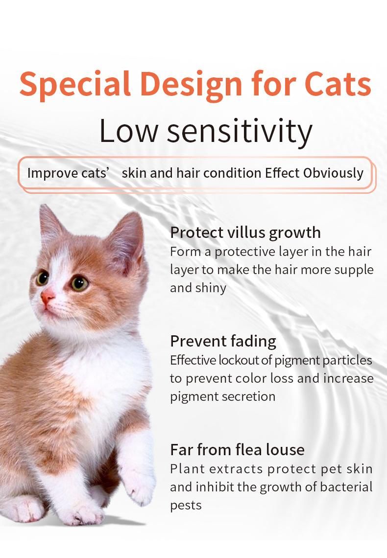 OEM Hot Sales Natural Fluffy Look Anti-Kont Cat Shower Shampoo 470ml