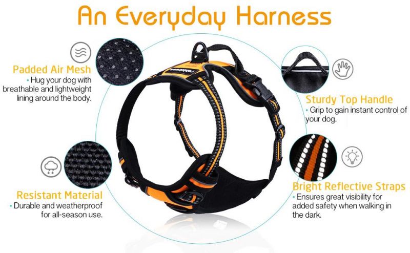 Adjustable Outdoor Pet Vest Pet Harness