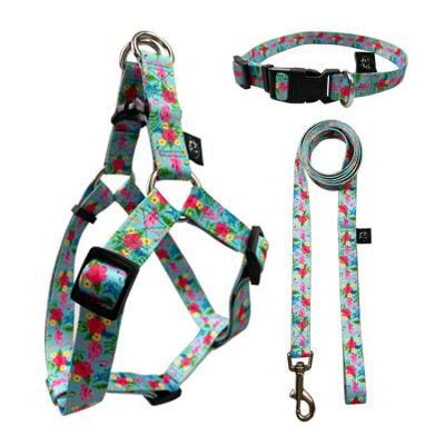 Custom Standard Dog Leash Harness Collar Fashion Attractive Design Custom Print Dog Harness