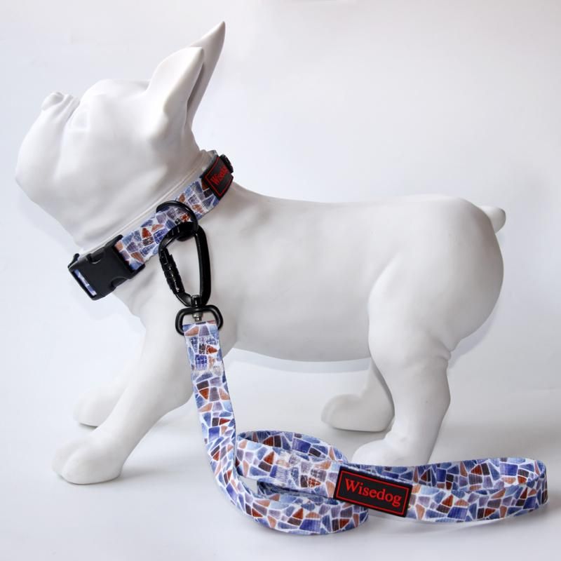 Personalized Custom Design Adjustable Pattern Nylon Dog Collars and Leashes