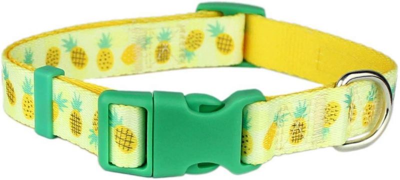 Beautiful Spring and Plaid Designs Pet Adjustable Nylon Dog Collar