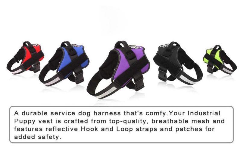 Adjustable Pet Harness with No More Pulling