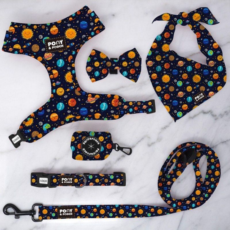 Pet Accessories Fashion Colorful Luxury Collar Leash Harnewss Set Metal Buckle