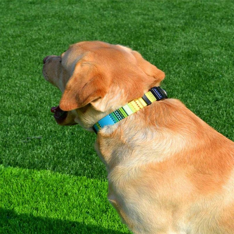 Green Bohemia Pattern Dog Collar Polyester Pet Collar