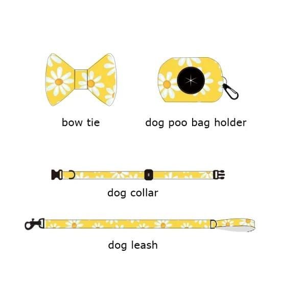 Small Dog Harness and Leash Set Reflective Pet Vest Harness with Lesh Harness