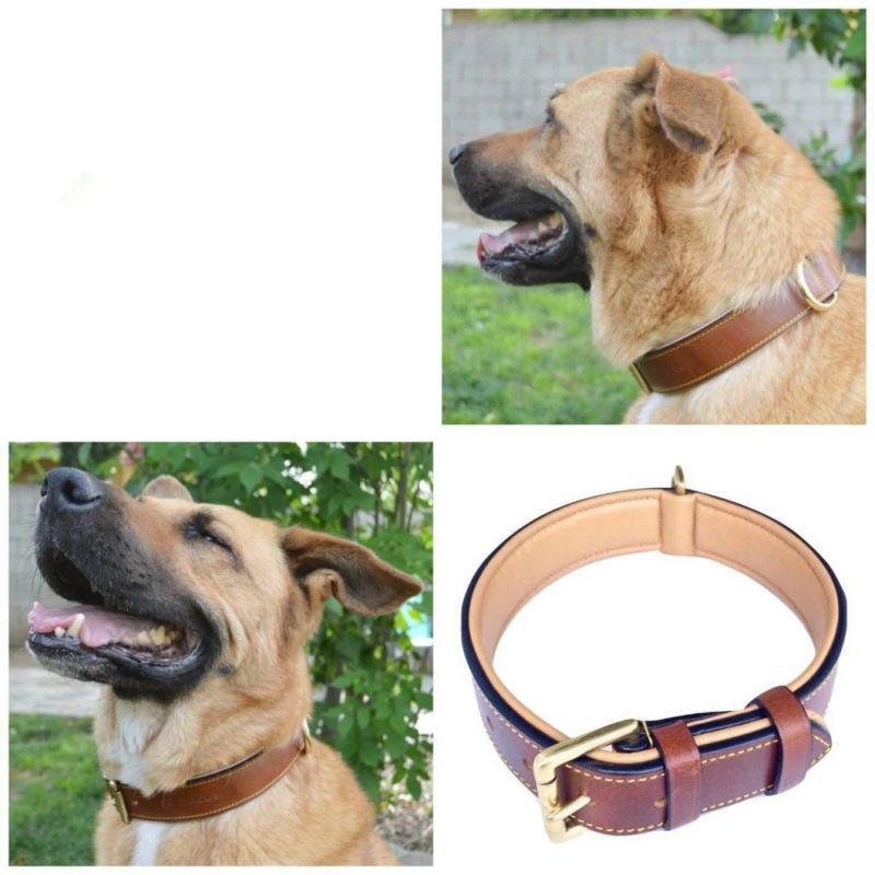 Nice Leather Pet Collar with The Latest Design and Good Quality