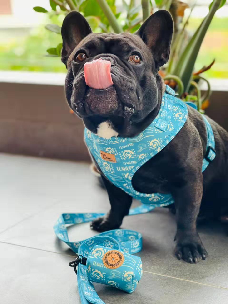 Padded Adjustable Soft Mesh Customized Pattern Printing Dog Harness