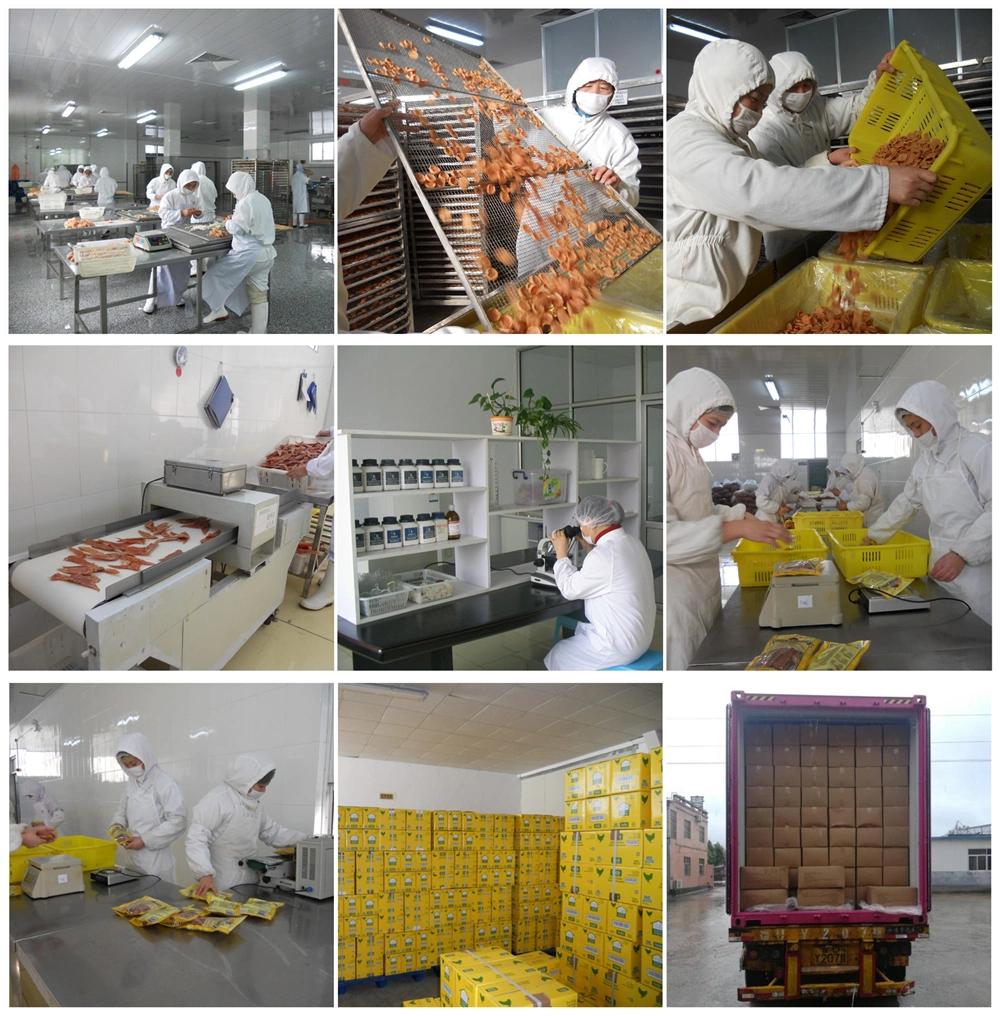Safety Healthy Freeze Dried Chicken OEM Dog Treat Cat Snacks Pet Food High Quality Dry Meat
